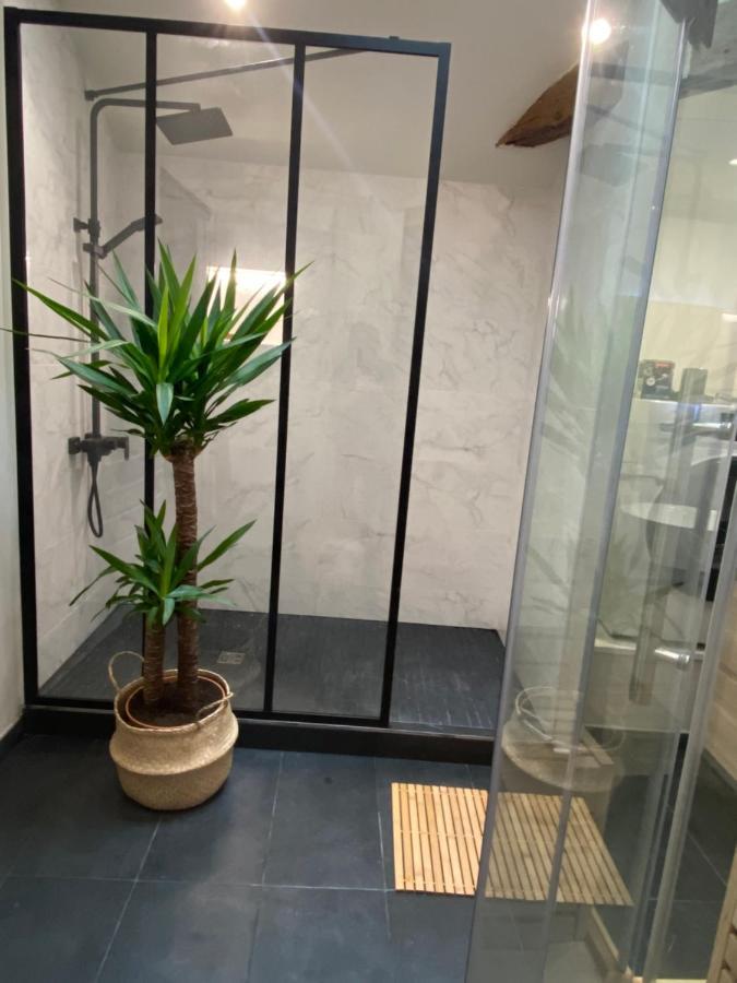 Charmant Appartement Avec Spa ฟอนทีเนย์-เลอ-คอมต์ ภายนอก รูปภาพ